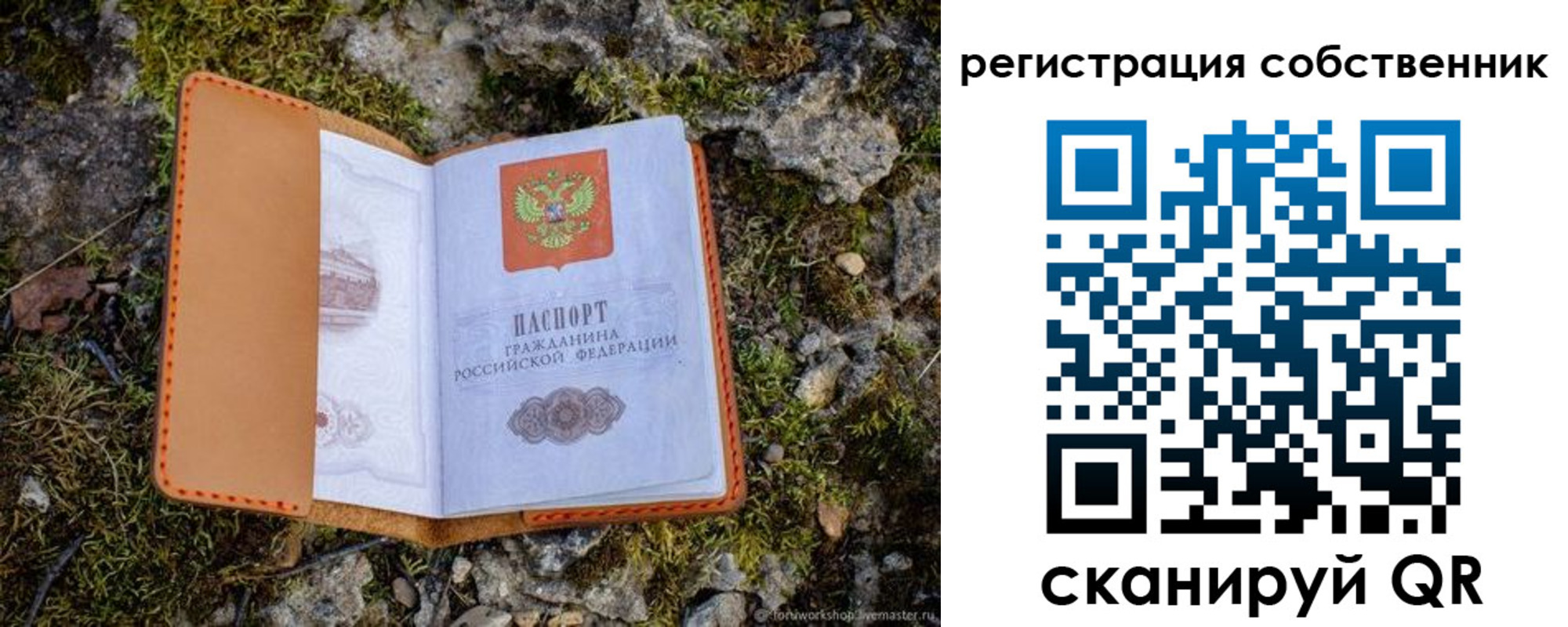 прописка поиск в Брянской области